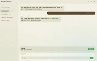 集合啦动物森友会 日间预览